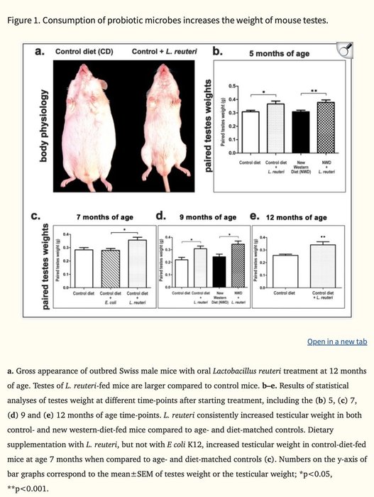 Thumbnail of www-x-com-aestheticprimal-status-1898414289016201340-4718f020734a4c34