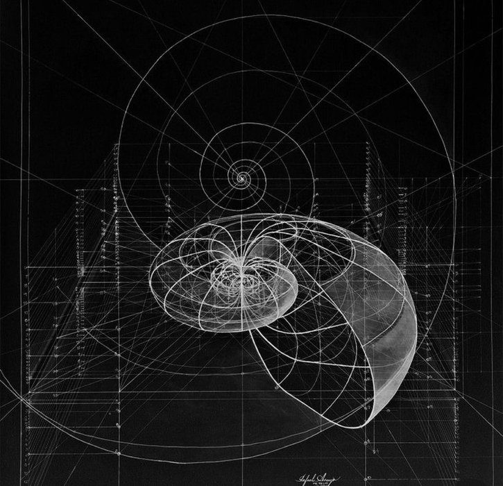 Thumbnail of www-x-com-thuleanfuturist-status-1897773400946278883-472c73a574cc4a22