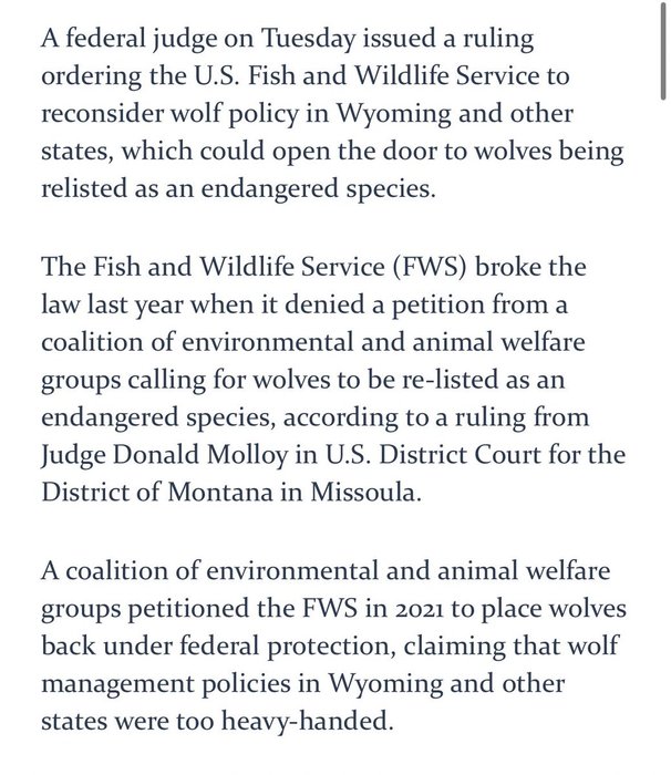 Thumbnail of www-x-com-rodeoprofessor-status-1952903556916478397-49cf0254b5ad4e43