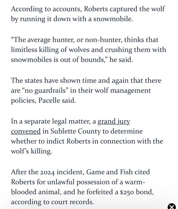 Thumbnail of www-x-com-rodeoprofessor-status-1952903556916478397-49cf0254b5ad4e43