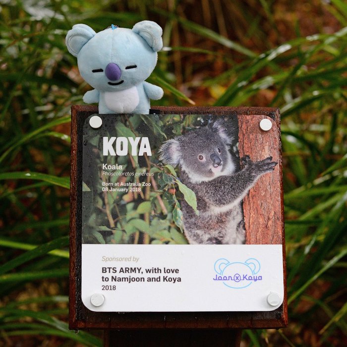 Thumbnail of www-x-com-australiazoo-status-1059627042122039296-4abf165fe7d447be