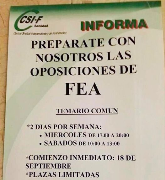 Thumbnail of www-x-com-javigradin-status-1802696565556940999-4b450fb7707d4461