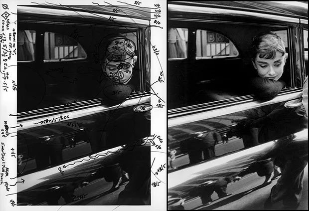 Thumbnail of www-x-com-kane-status-1661424158369259520-4d27b17ae36a4812