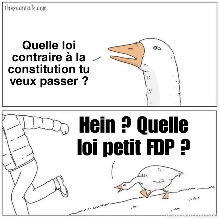 Thumbnail of www-x-com-meme-gauche-status-1954093517434679719-4dbe86ac6743491a