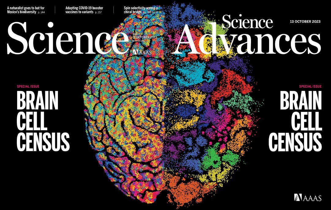Thumbnail of www-x-com-sciencemagazine-status-1712531212605005918-4fed5aca980c4b13
