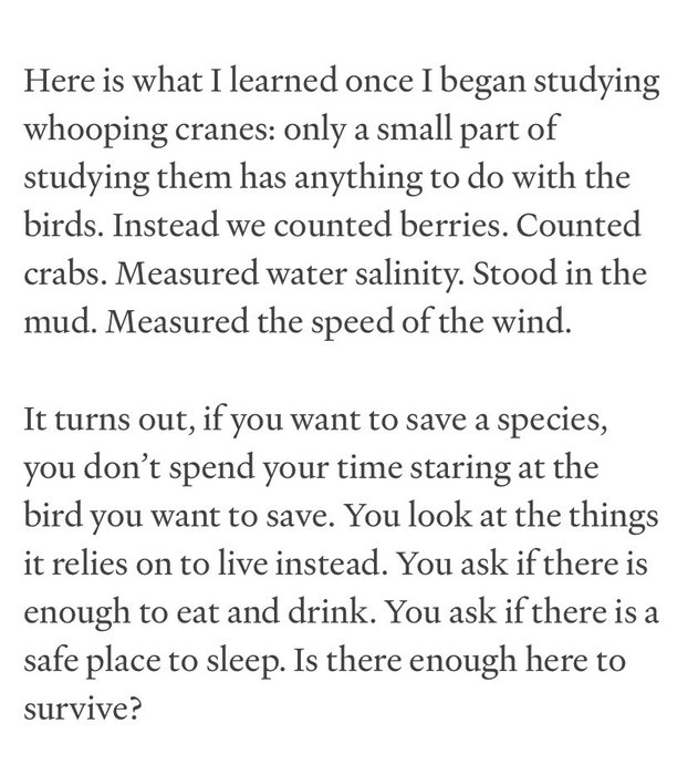 Thumbnail of www-x-com-startingfromnix-status-1924169136235860125