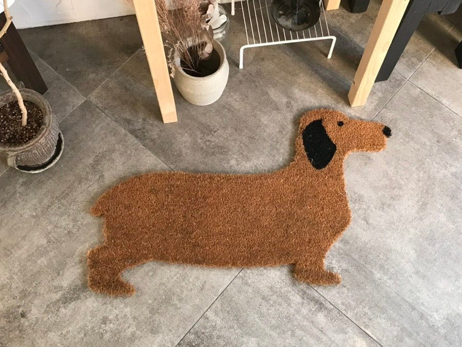 Thumbnail of www-x-com-bixyaa-status-1955254912964813157-5206bea544204cce