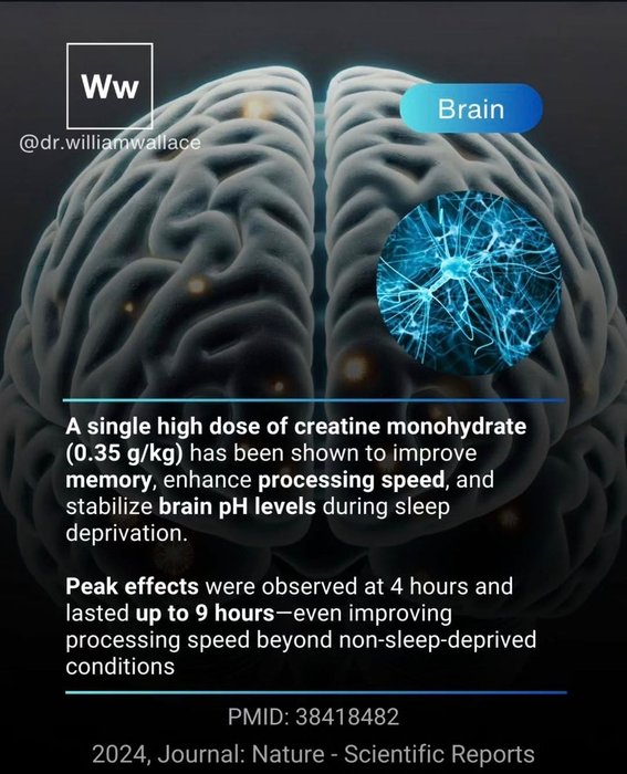 Thumbnail of www-x-com-drwilliamwallac-status-1901284779011514668