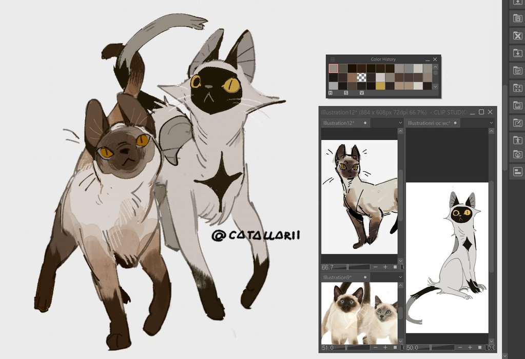 Thumbnail of www-x-com-catallarii-status-1956415285197733991-56e85cf0e4ff40b6