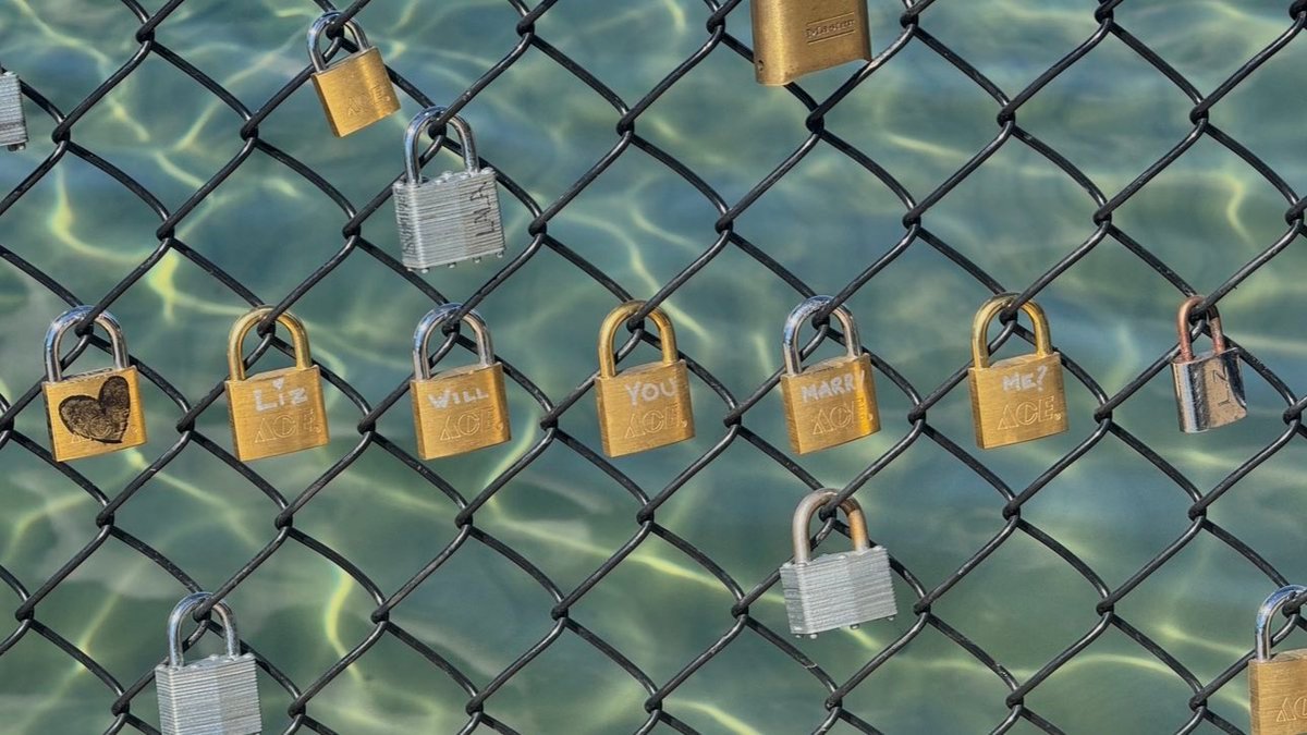 Thumbnail of www-x-com-hannahahn-status-1969842890831757706-575bbdc3be5e40ec