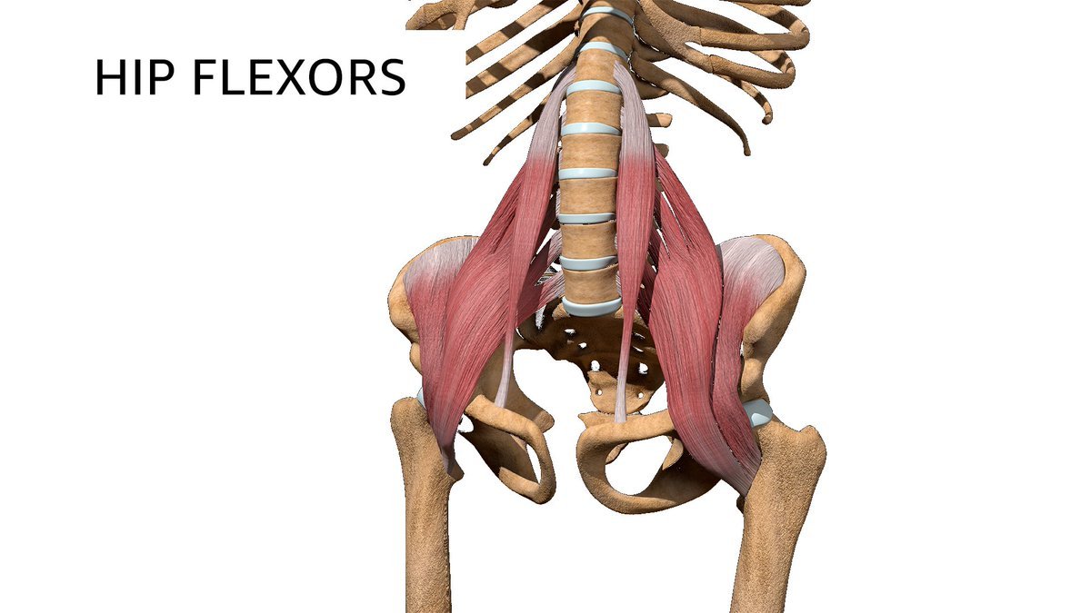 Thumbnail of www-x-com-kneeovertoesguy-status-1741168681722490907-580443ed7ef94938