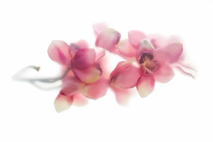 Thumbnail of www-x-com-onlyyouforeveer-status-1837464906913780030-598d3b45ae6847e9