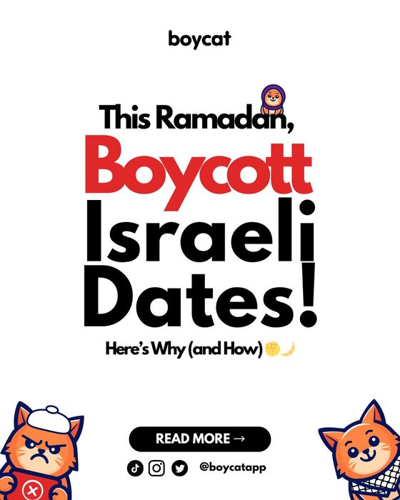 Thumbnail of www-x-com-boycatapp-status-1886505515234054195-5a75391d0309445c