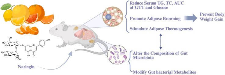 Thumbnail of www-x-com-bioavailablend-status-1757535328376598958-5ad9e01e5c9a4873