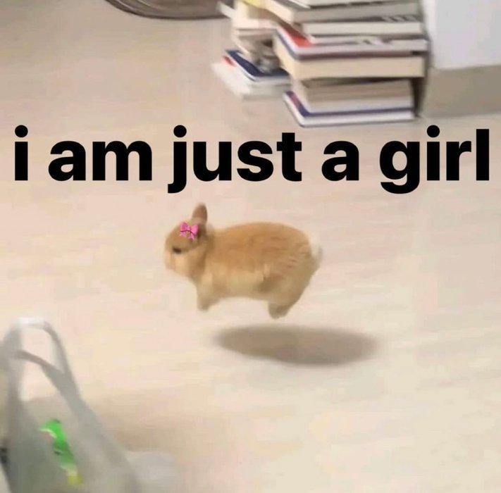 Thumbnail of www-x-com-whotfisjovana-status-1737591902264864886-5afb2555921a4c30