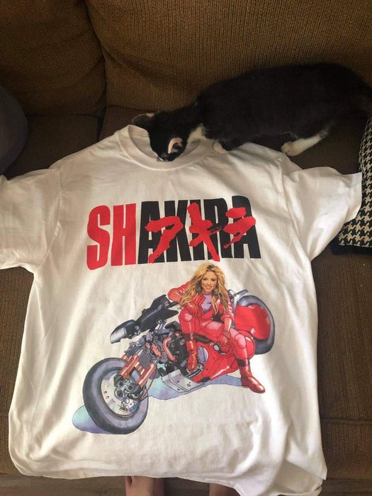 Thumbnail of www-x-com-wildsentences-status-1519775975520694273-5c6f2f4a2a8847bb