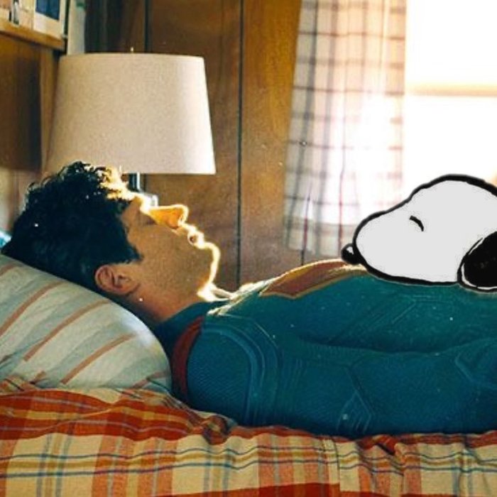 Thumbnail of www-x-com-dailysnoopys-status-1946324017842995352-5d16cfdd54ad4d97