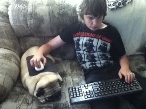 Thumbnail of www-x-com-contextdogs-status-1899656628825215158-5dcaf675008b46c6