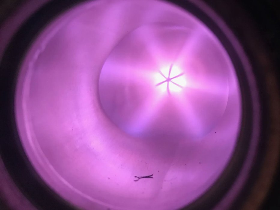 Thumbnail of www-x-com-jacksonoswalt-status-1869829729551024484-5ded5e87b1d7486b