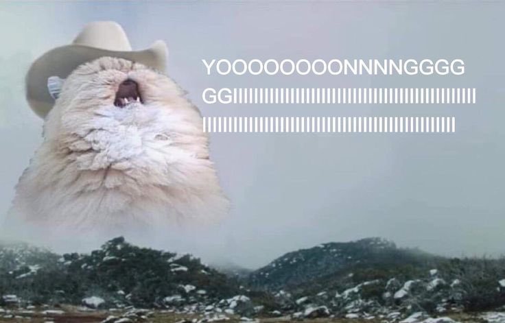 Thumbnail of www-x-com-yoongicherri-status-1935129806464754160-5edf1f585c714b67