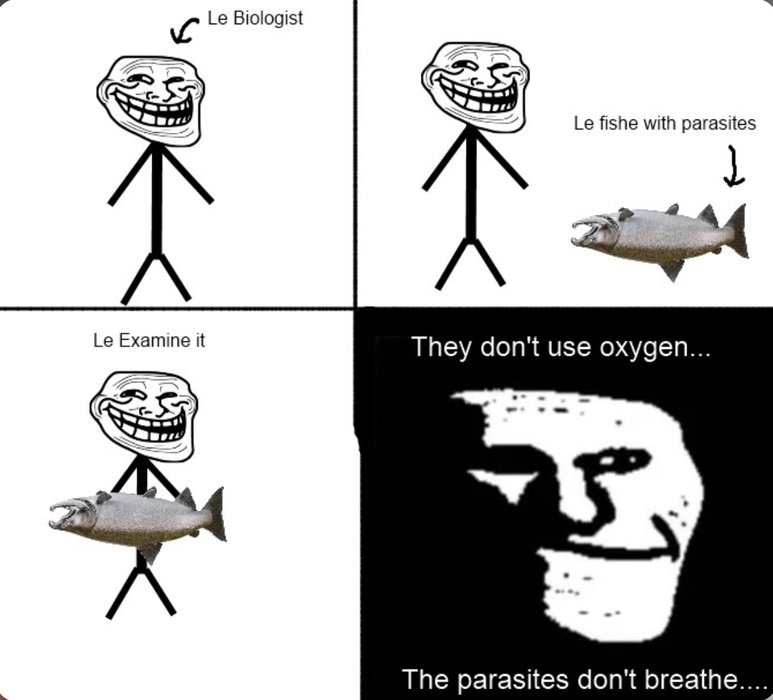 Thumbnail of www-x-com-shitpostgate-status-1943070157854904428-5eee4fe4b0b04d49