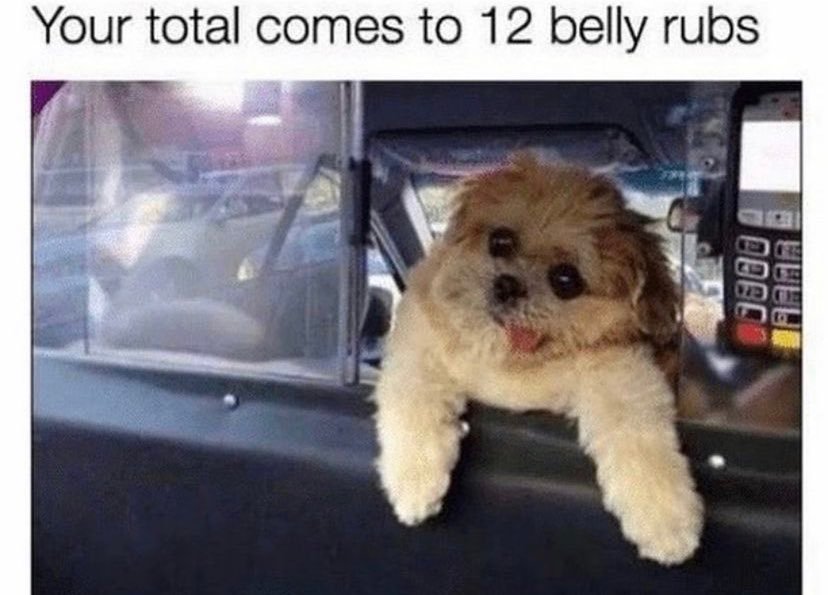 Thumbnail of www-x-com-wholesomememe-status-1461457285176336386-5f6c4d35f01e45dd