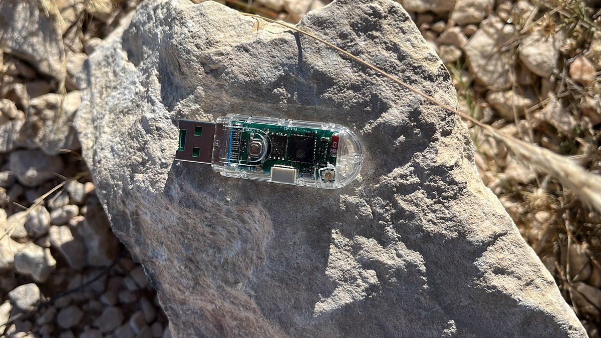 Thumbnail of www-x-com-cemaxecuter-status-1859952371574690216-613ab8f4e7114ec3