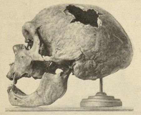 Thumbnail of www-x-com-fossilhistory-status-1819720120983285791-62a643e9f0974845