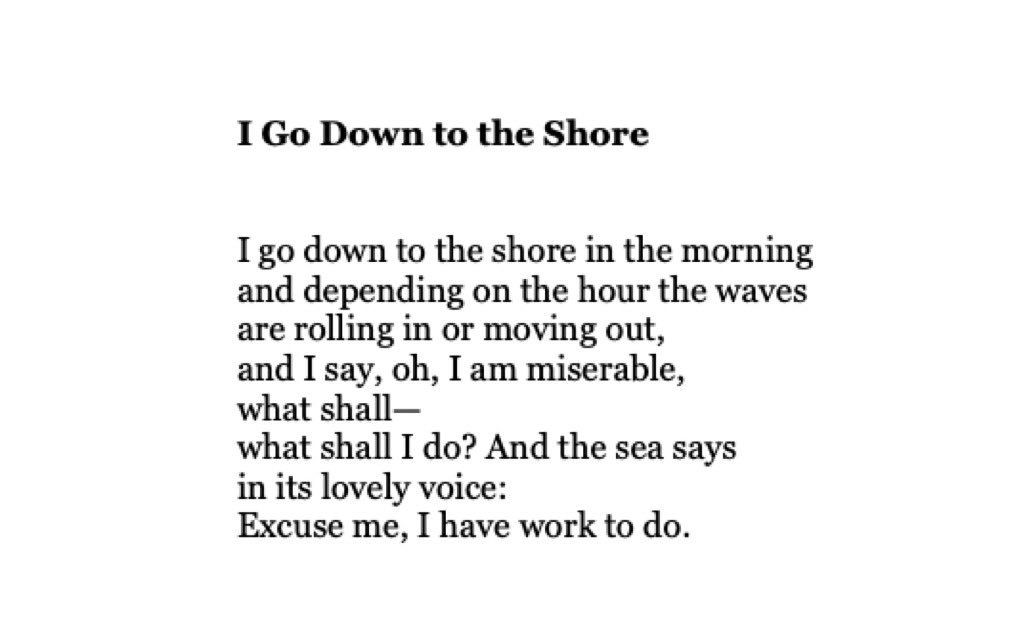 Thumbnail of www-x-com-mayacpopa-status-1569130607082348549-65723af1535341a4