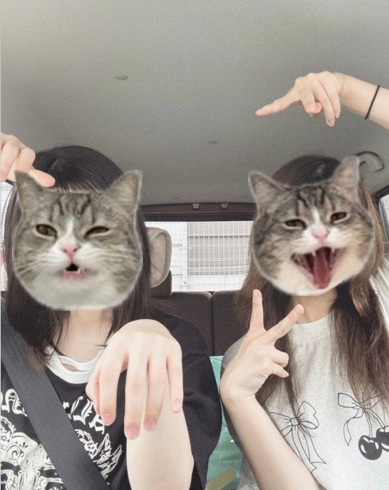 Thumbnail of www-x-com-ice-15-status-1825894101264511446-68caa6e1571f457c