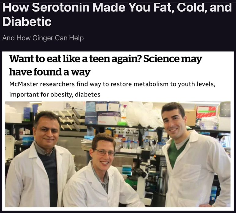 Thumbnail of www-x-com-lowmegatron-status-1868203596468404451-6a3249ffc8ac410c