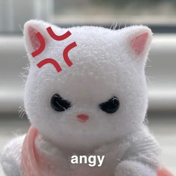 Thumbnail of www-x-com-lovesickdoe-status-1723658576663658825-6c85c4201c154606