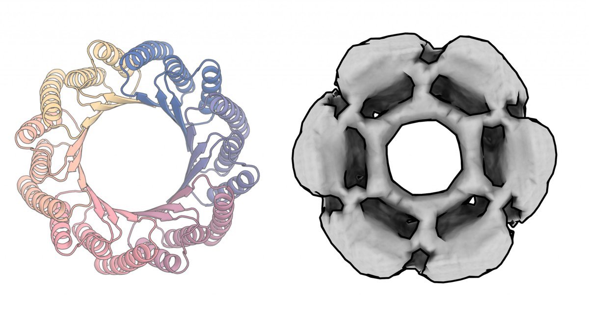 Thumbnail of www-x-com-ai-pub-status-1600266522387046401-6f44976a99e74b24