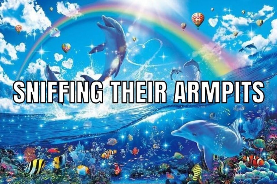 Thumbnail of www-x-com-catgirlanarcho-status-1954196120252363244-7019597ab27e49e1