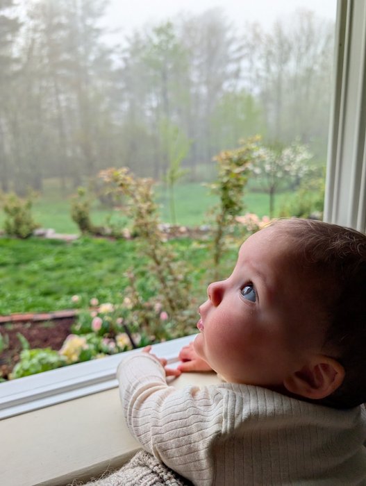 Thumbnail of www-x-com-simonsarris-status-1918990818435559903-70aa65077493496f