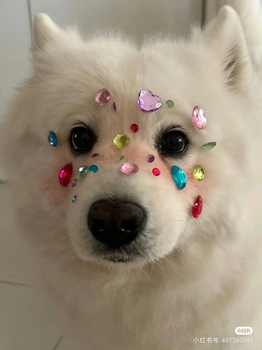 Thumbnail of www-x-com-lovesickdoe-status-1727431939982848507-71207b90ffd74f20