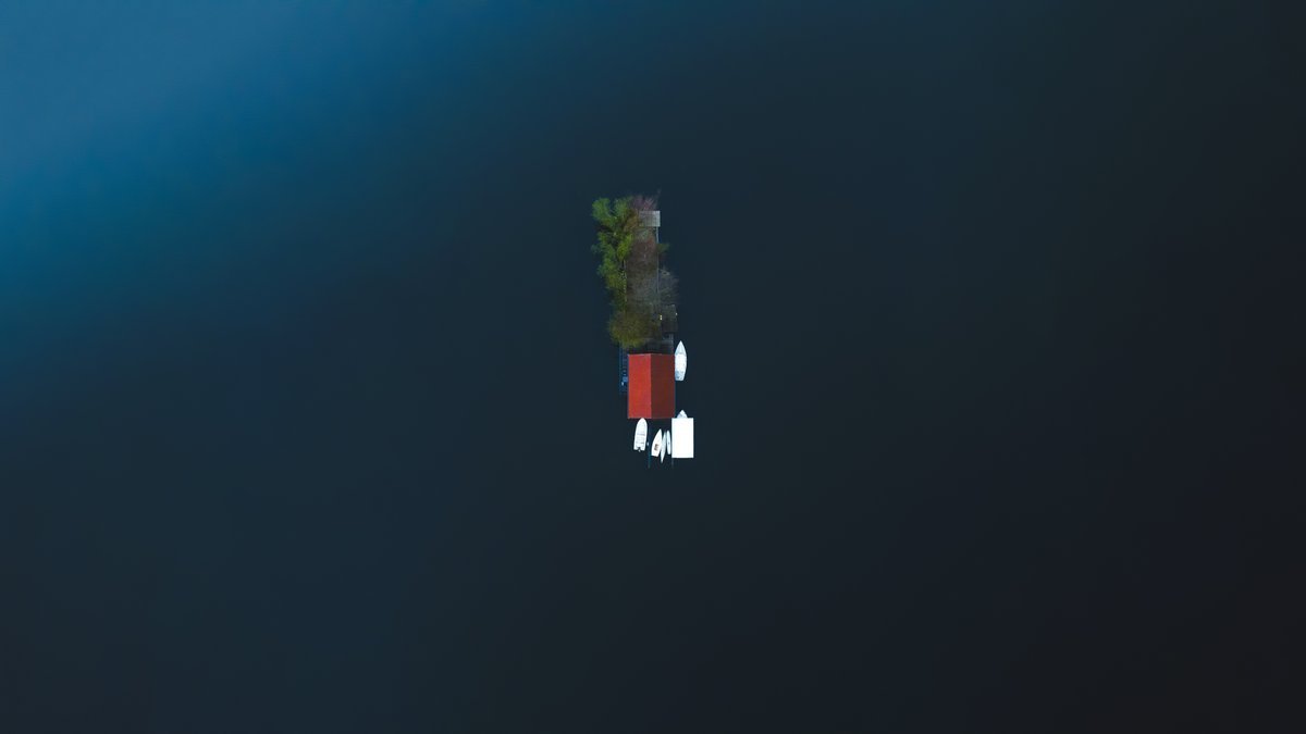 Thumbnail of www-x-com-wallsbyjfl-status-1849277773266706871-7664887ea8e84b72