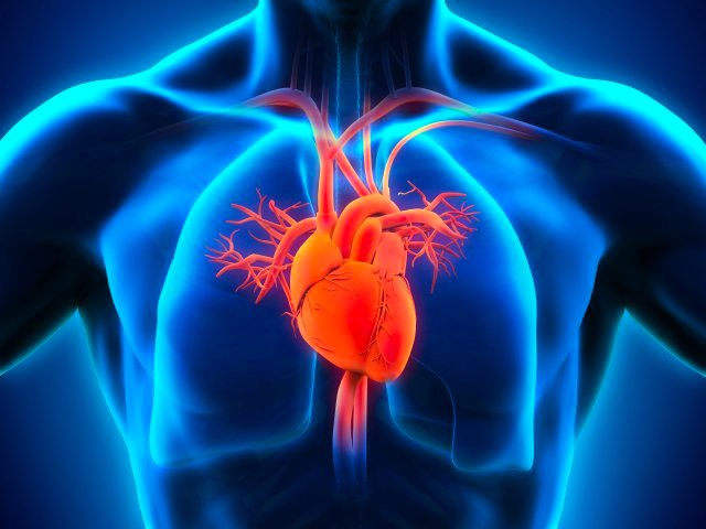 Thumbnail of www-x-com-bowtiedum-status-1643316849747034112-76feb2cd4a754755