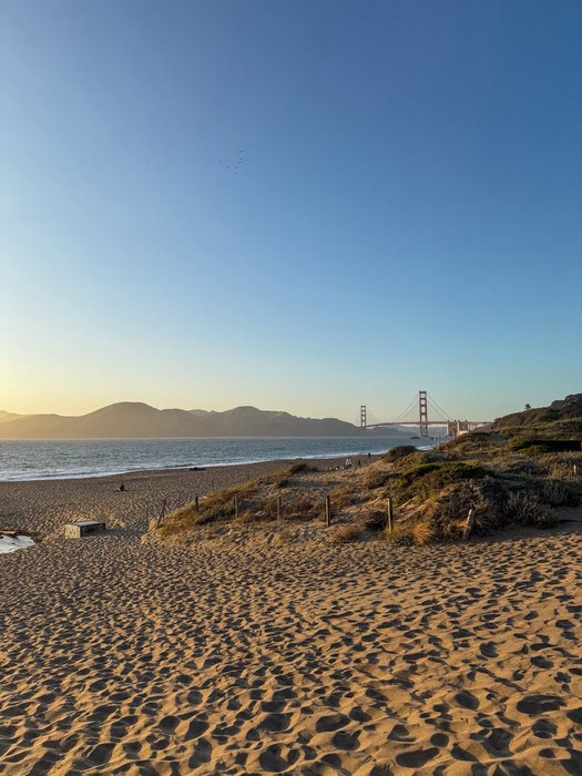 Thumbnail of www-x-com-paularambles-status-1934840370418077812-77166d8c0c0c435f