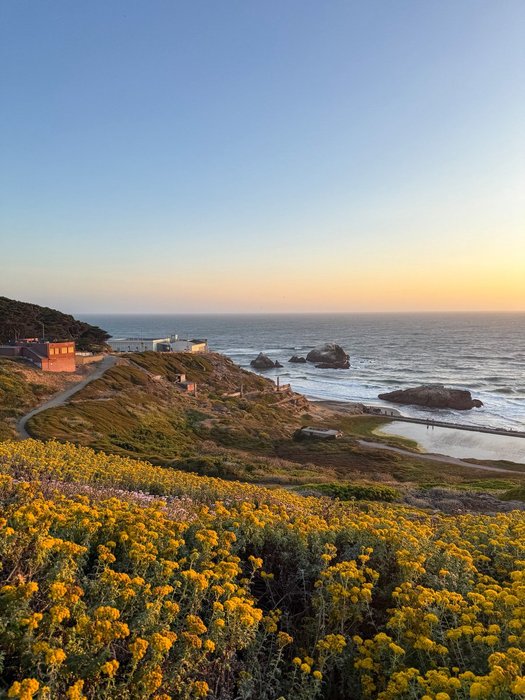 Thumbnail of www-x-com-paularambles-status-1934840370418077812-77166d8c0c0c435f