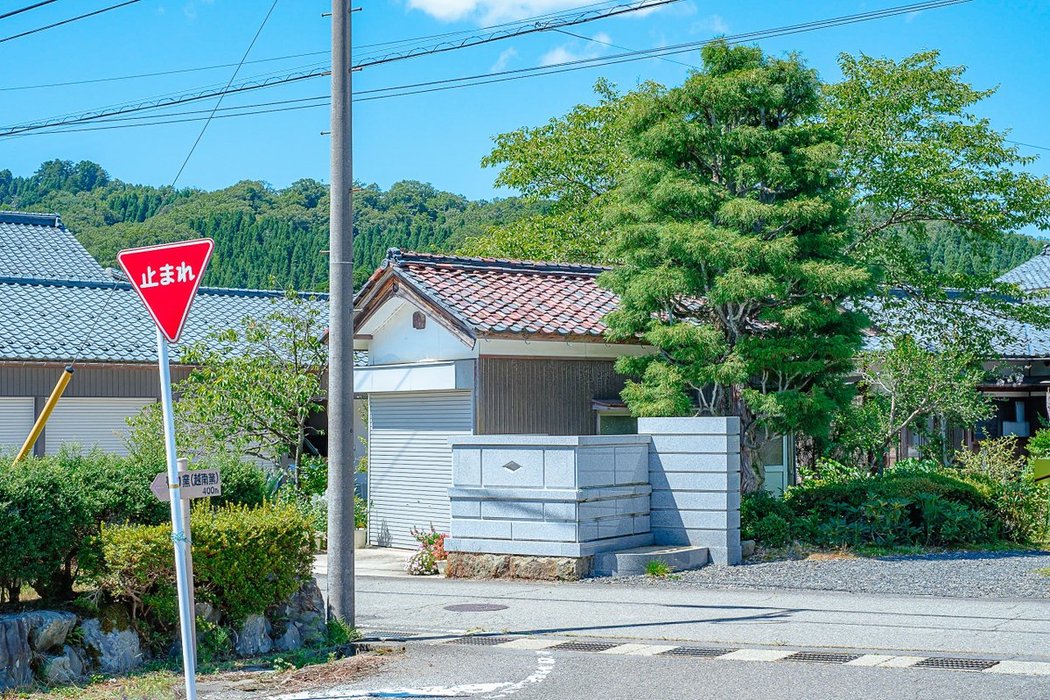 Thumbnail of www-x-com-photo-okina-status-1554393010083082240-77f49604f5d74a9e