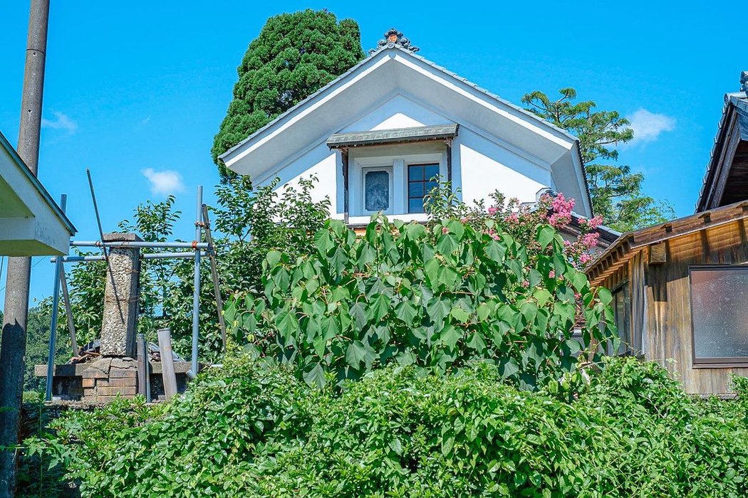 Thumbnail of www-x-com-photo-okina-status-1554393010083082240-77f49604f5d74a9e