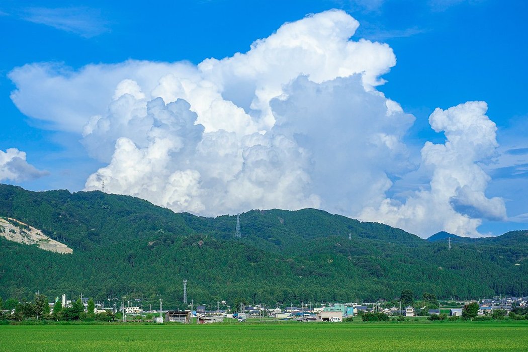 Thumbnail of www-x-com-photo-okina-status-1554393010083082240-77f49604f5d74a9e