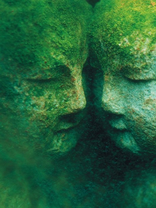 Thumbnail of www-x-com-feelcrank-status-1966311643803210133-7a26d766e8dd43a9