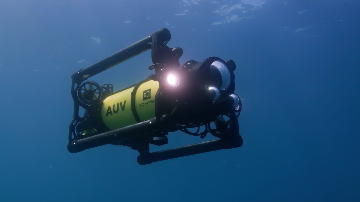 Thumbnail of www-x-com-boxfishrobotics-status-1909917389954932808-7acfdab219d041f3