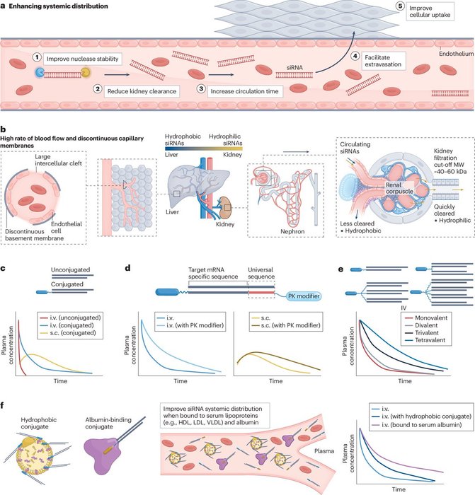 Thumbnail of www-x-com-natrevdrugdisc-status-1782420837477318696-7b4dbbddfc624384