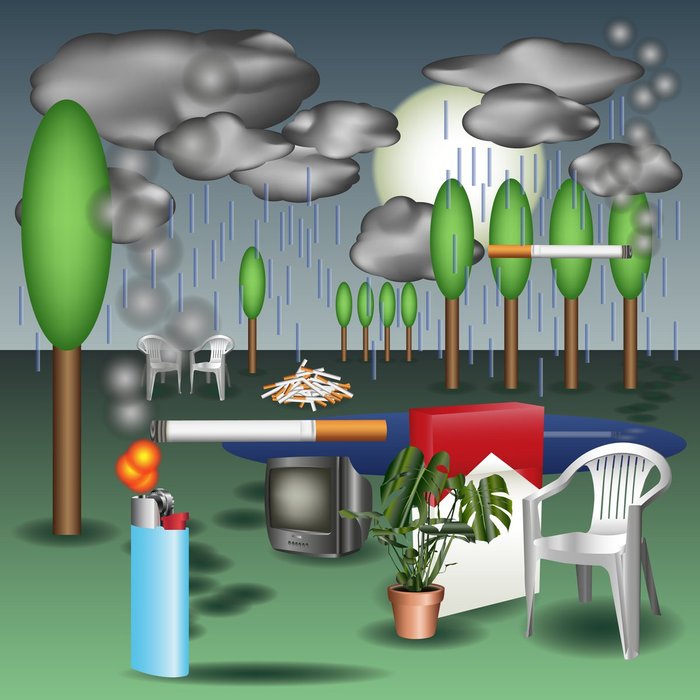 Thumbnail of www-x-com-daniloxhema-status-1885670183106400348-7b6f103cbfe445f0