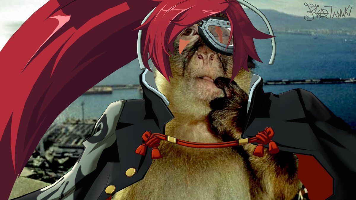 Thumbnail of www-x-com-r4tanuki-status-1959329093595373981-7b739a184af641f0
