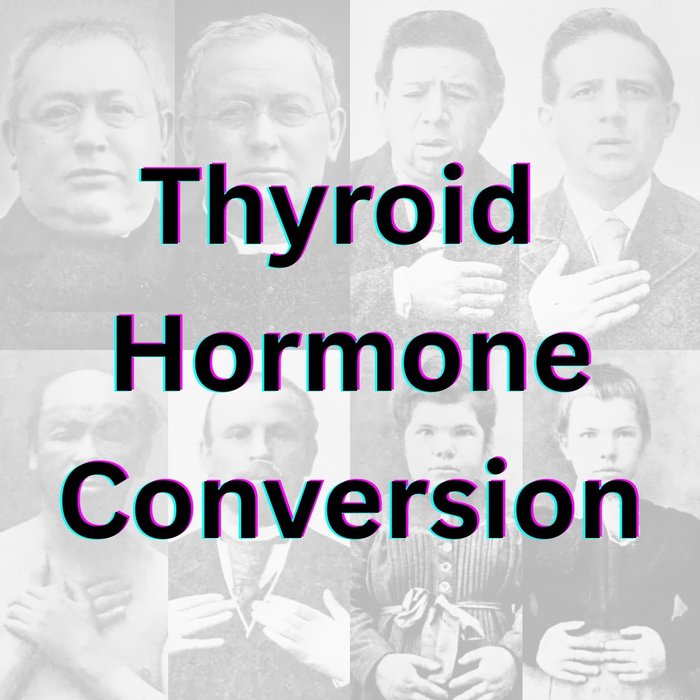 Thumbnail of www-x-com-lowmegatron-status-1910028791553929450-7c0cde5bdd2e468f