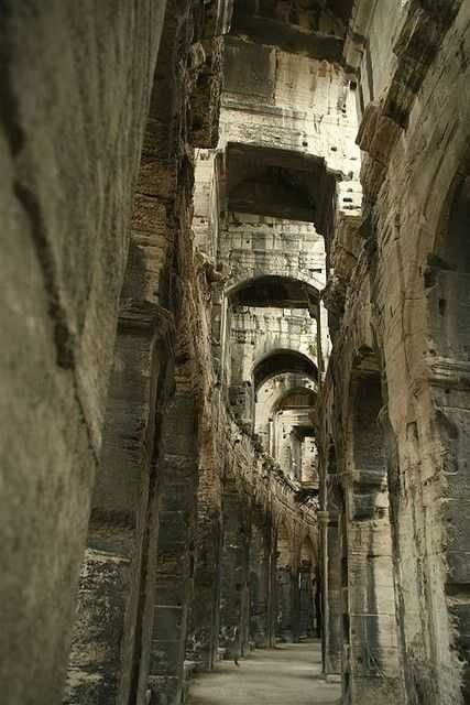 Thumbnail of www-x-com-gopwbi7qqtwed9o-status-1968188718487134470-7c8d03c2813744fc